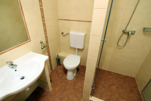 La salle de bains est pourvue de toilettes, d'un lavabo et d'une douche. dans l'établissement Family Panzio es Apartman Hazak, à Lipót