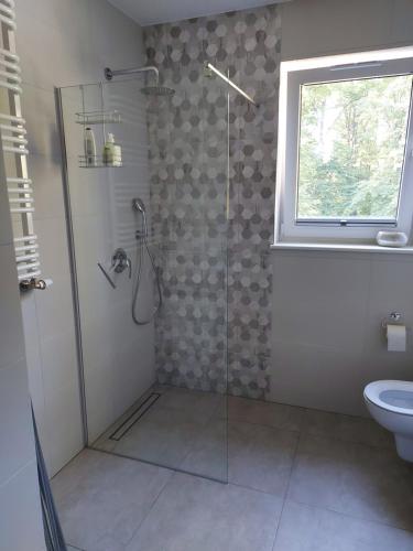 a bathroom with a shower and a toilet and a window at Apartament Snow White in Karpacz