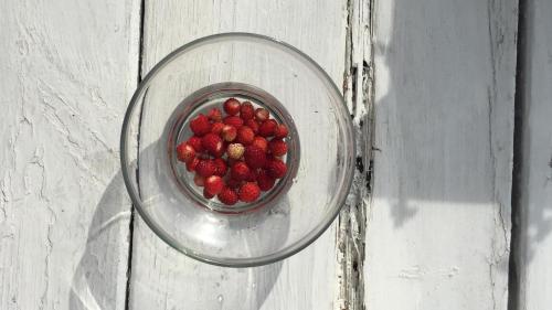 a glass bowl filled with strawberries on a table at Błękitny Domek - Tleń - Bory Tucholskie in Tleń