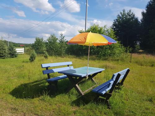 a picnic table with an umbrella and two chairs at Błękitny Domek - Tleń - Bory Tucholskie in Tleń