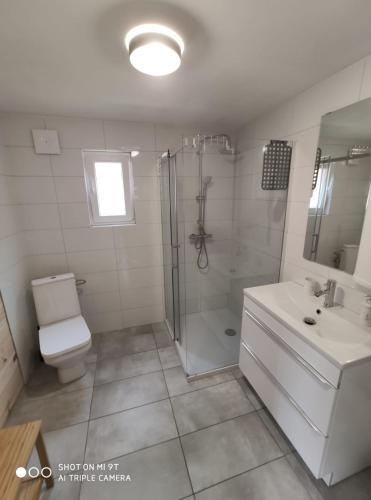 a bathroom with a shower and a toilet and a sink at LEŚNA OSTOJA in Rewal