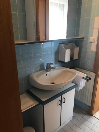 een badkamer met een wastafel en een spiegel bij Kleine Ferienwohnung am Rande der Wildnis in Sibratsgfäll
