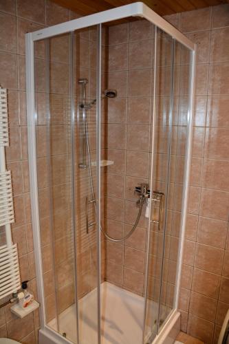una ducha con puerta de cristal en un baño en Apartment Zatrnik, en Bled
