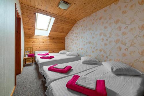 two beds in a room with pink cushions on them at Saules sēta in Lazdenieki