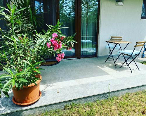 a porch with two potted plants and a table and chair at Aviator Boutique Residence in Otopeni