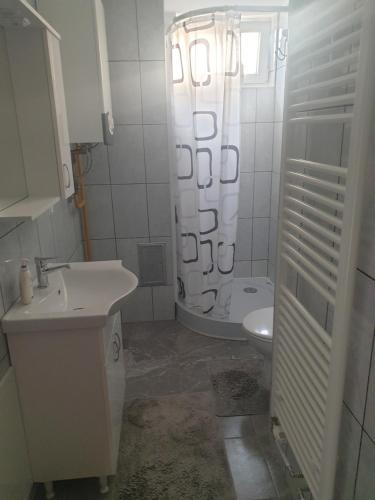 a bathroom with a sink and a toilet and a shower at Apartmani Salic in Osijek