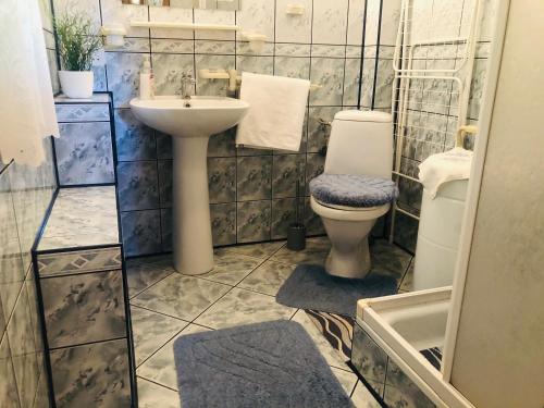 a bathroom with a toilet and a sink at Zielona Sielanka in Orzyny