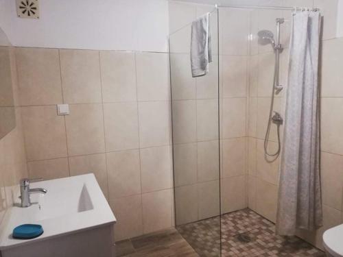 W łazience znajduje się prysznic i umywalka. w obiekcie Casa no Campo w mieście Algoz