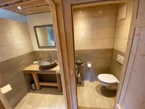 a bathroom with a toilet and a sink at Apartments Landhaus Sonnheim in Lofer