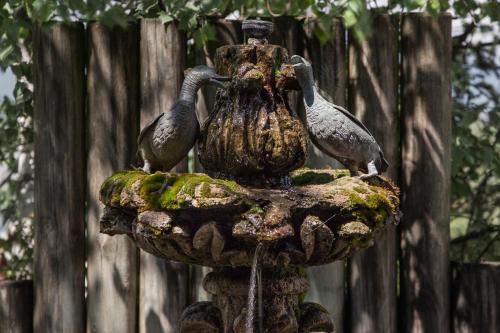two birds standing on top of a bird bath at Alp Art Hotel Götzens in Innsbruck