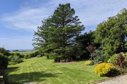 a green lawn with a tree in a garden at Cosy, Coastal Retreat with a Large Garden in Monreith