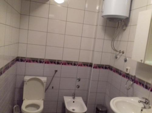 Un baño pequeño con inodoro y lavabo. en Apartment Nice View, en Fojnica