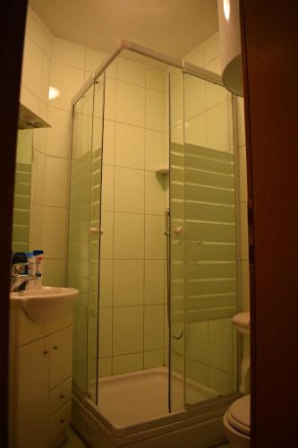 ein Bad mit einer Dusche, einem WC und einem Waschbecken in der Unterkunft Apartments Malinska-Kajkić in Malinska