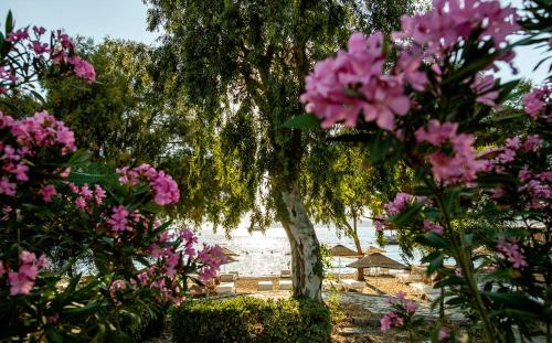 Gallery image of Yalıpark Beach Hotel in Yalıkavak