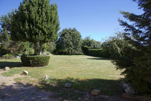 La Petite Chesnee – Photos 4