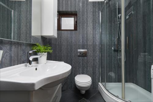 een badkamer met een wastafel, een toilet en een douche bij Kotor Sunset Apartments in Kotor