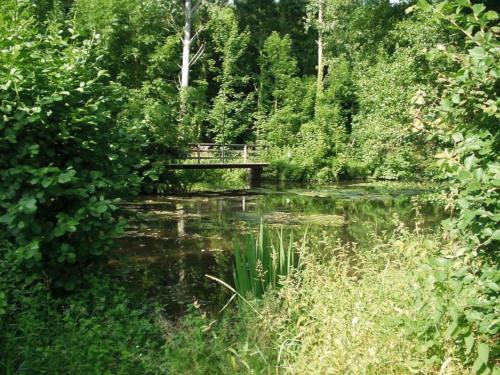 uma ponte sobre um rio com árvores e arbustos em Les Coucous em Augerville-la-Rivière