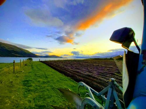a view of a field from inside a bus at Highland Croft B&B in Onich
