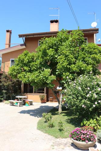 a tree in front of a building with flowers at Casa Flora in Treppo Grande