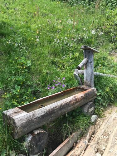 a wooden bench with a sink in a field of grass at Ferienapartment Davos in Davos
