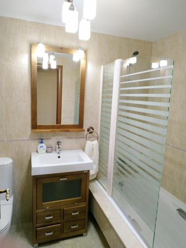 a bathroom with a sink and a shower and a mirror at Apartamento Golf con Jardin Sojuela in Sojuela