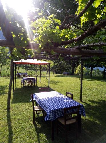 a picnic table with a blue and white checkered table cloth at Agriturismo I Fondacci in Grizzana