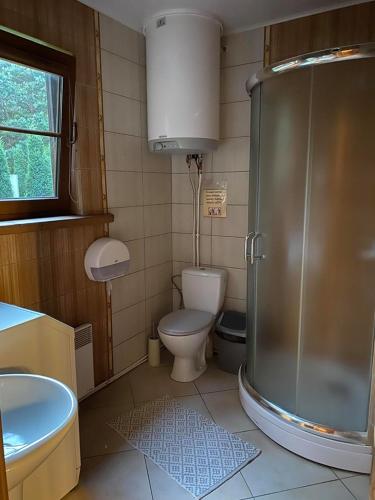 a small bathroom with a toilet and a shower at Šeimyninis namelis nr.1 in Kurėnai