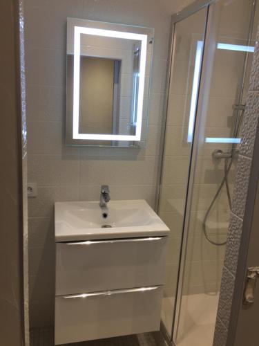 a bathroom with a sink and a shower at Appartement refait à neuf à Annecy in Annecy