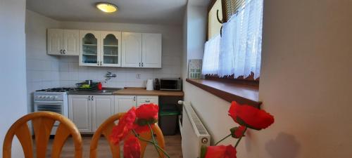 a kitchen with two red flowers on the counter at Privát Tatry Štrba in Štrba