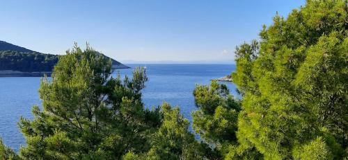 Apartment Nono Ivo – Photos 3