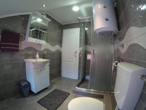 uma casa de banho com um WC, um chuveiro e um lavatório. em Apartman Karganovic em Višegrad