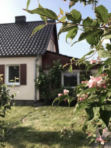 a house with pink flowers in front of it at Agroturystyka pod jeleniem in Milicz