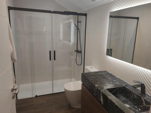a bathroom with a shower and a toilet and a sink at Apartamentos San Román in Retorta