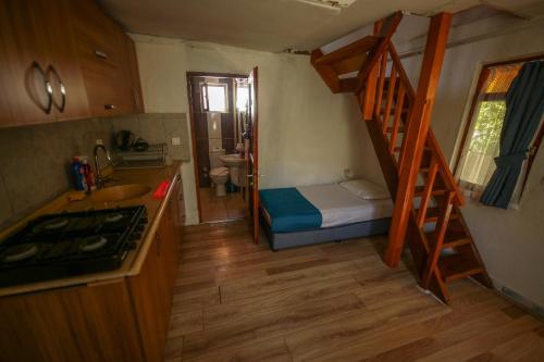 Kuchyň nebo kuchyňský kout v ubytování Villa Zeytin