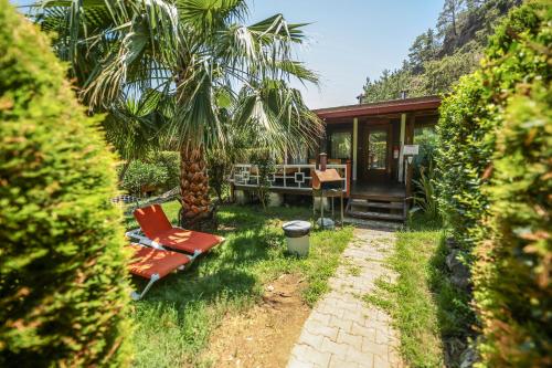 Zahrada ubytování Villa Zeytin