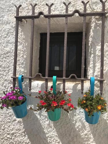 a window with three potted flowers on a wall at Estrella de Mar (AT 41182V) in Valencia