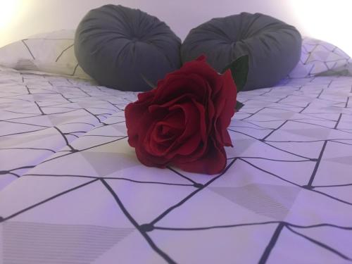 une rose rouge assise au-dessus d'un lit dans l'établissement Lovely Studio, à Bourges