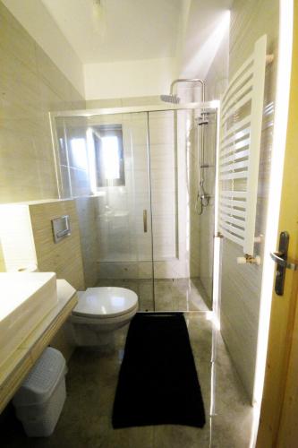 a bathroom with a shower and a toilet and a sink at Apartamenty Willa Anna in Poronin