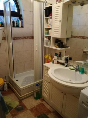 a bathroom with a sink and a shower at Kuća na dan Villa Holiday in Sakule