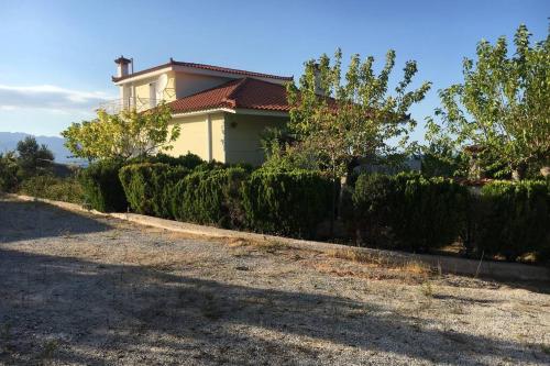 Κήπος έξω από το Villa Aegean