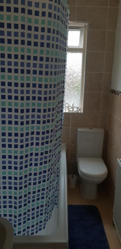 a bathroom with a toilet and a shower curtain at Bambz Apartment 2 in Manchester