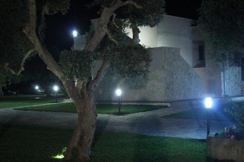 a tree in front of a building at night at Masseria Un Posto al Sole in Otranto