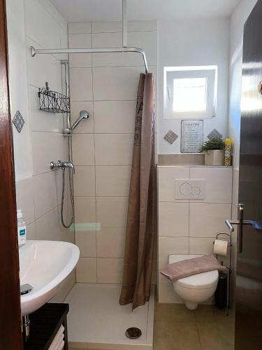 a bathroom with a shower and a toilet and a sink at Ferien- und Monteurswohnung Heilbrunnen in Wörth am Rhein