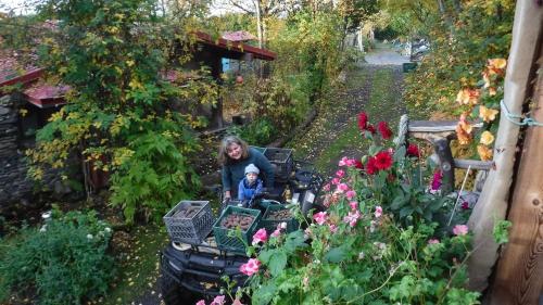 Brigitte's Bavarian Bed und Breakfast – Photos 2