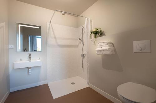 a bathroom with a shower and a toilet and a sink at Hôtel de Paris in Limoges
