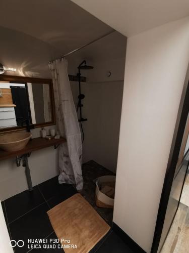 a bathroom with a sink and a shower curtain at La Tour notre Dame in Boulogne-sur-Mer