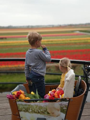 a young boy standing in a cart full of flowers at Cosy Tiny House 5 min walk Keukenhof included entrance keukenhof in Lisse