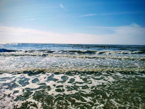 a beach with a group of people in the ocean at Cosy Tiny House 5 min walk Keukenhof included entrance keukenhof in Lisse