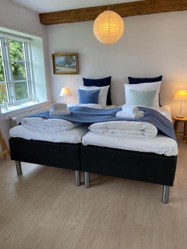 two beds in a bedroom with blue and white pillows at Rønhave in Sønderborg