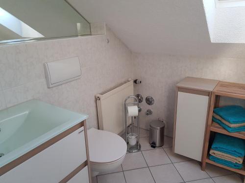 a bathroom with a white toilet and a sink at Ferienwohnung Willkommen in Bad Schandau